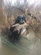Waterfowl Labrador Retriver T-Shirt